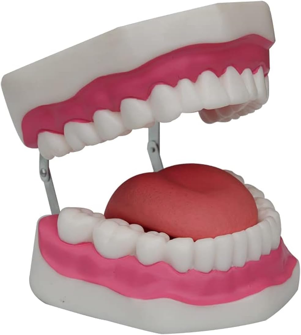 Tongue Hygiene Set 17cm Giant Dental Care